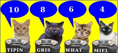 Combien de doigts Mickey a-t-il à chaque main ? Quel est le chat le plus malin ?