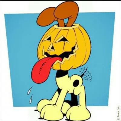 Comment s'appelle ce chien ?