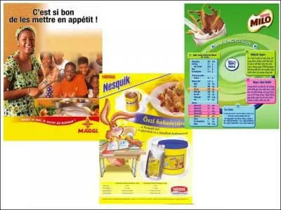 Qu'est-ce qu'une firme multinationale ?