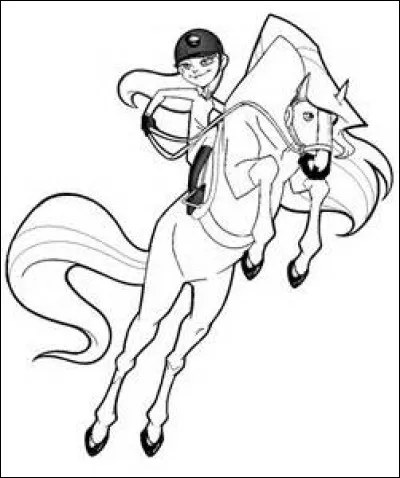 Quel cheval n'a pas été domestiqué par l'homme ?