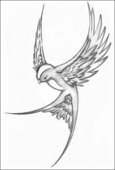 Quel animal a le vol le plus silencieux ?