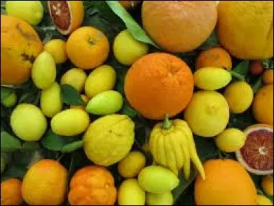 Que dit-on plutôt ?