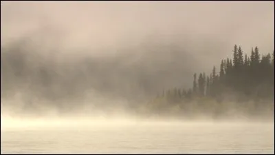 Complétez ce dicton : "brouillard en janvier...".