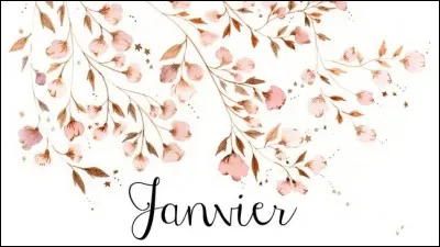 Qui, dans sa chanson "Bonne idée", nous chante : "Un début de janvier / si j'ai bien su compter / Reste de fête ou bien vux très appuyés / De Ruth ou de Moïshé, lequel a eu l'idée ?" ?