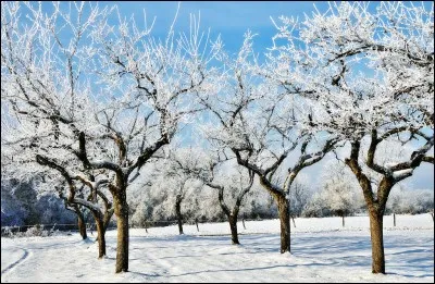 Comment dit-on "janvier" en espagnol ?