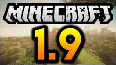 Comment se nomme aussi la 1.9 ?