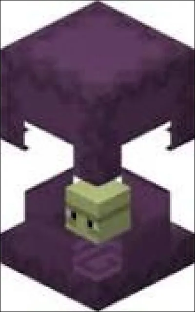 Quel est l'effet apporté au joueur quand il se fait toucher par un projectile de Shulker ?