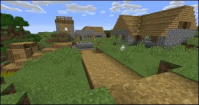 En quelle version pouvait-on faire des "Chemins d'herbe" à l'aide d'une pelle ? 
(visibles dans les villages de PNJ)