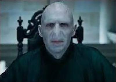 Qui a joué le rôle de Lord Voldemort alias "Tom Elvis Jedusor" ?