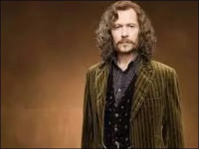 Qui a joué le rôle de Sirius Black ?