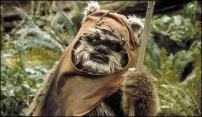 Dans quel épisode interviennent les Ewoks ?