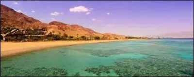 Donnez-moi le nom de ce pays n'étant pas bordé par la mer Rouge :