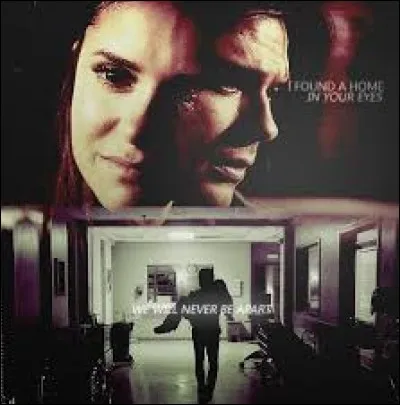 Que dit Damon à Elena après que Stefan l'ait attaquée ?