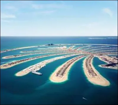 Qui est parti à Dubaï ?