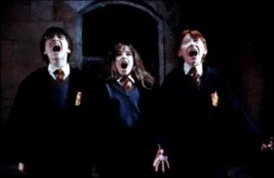Qu'est-ce qui effraie Harry, Ron et Hermione ?