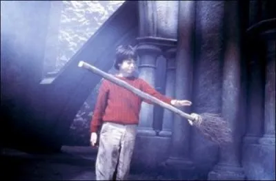 Que fait Harry sur cette image ?