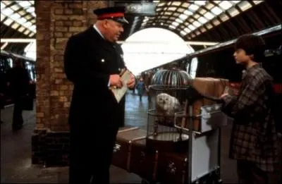 Que demande Harry  cet homme ?