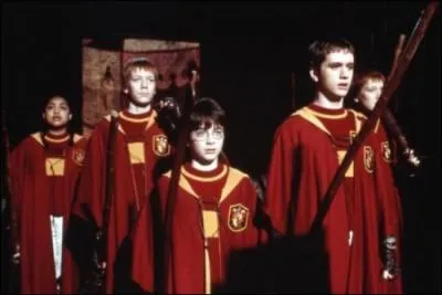 Que vit Harry sur cette image ?