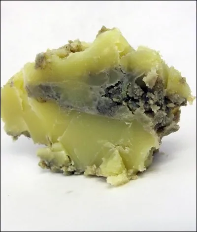 Si je vous dis : « Repos diurne chez les orientaux », vous répondez :