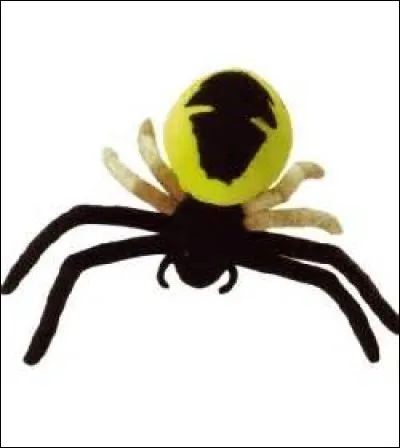 Quelle est l'origine du nom de l'espèce d'araignées appelée araignée-crabe ou araignée Napoléon ?