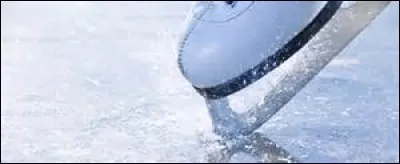 Lequel de ces patineurs artistiques se mit dans la peau de l'Empereur Napoléon Ier lors la saison 1996/1997 ?