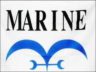 Comment s'appelle le contre-amiral du 77e régiment de la marine, envoyé à Arlong Park pour secourir les survivants de la ville de Gosa ?