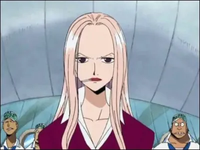 Quelle(s) arme(s) utilisent les bateaux commandés par Hina, la dame de fer ?