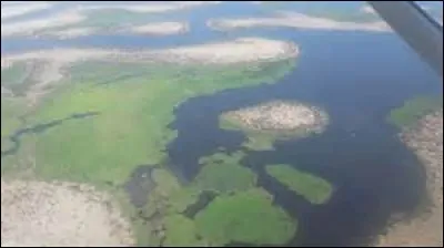 Lequel de ces lacs se situe partiellement sur le territoire du Niger ?