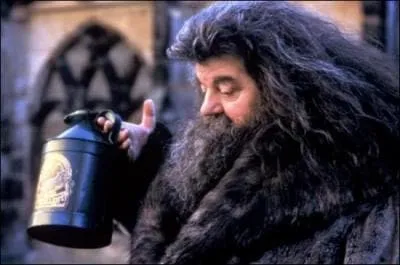 De quoi a t accus Hagrid ?