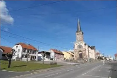 Je pars en Lorraine déposer la lettre de Poucette. Elle l'attend à Nitting, petit village situé dans le département ...