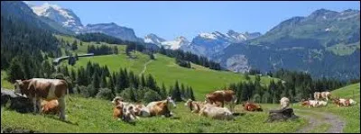 De laquelle de ces assurances chaque habitant n'est-il pas obligé de disposer ?