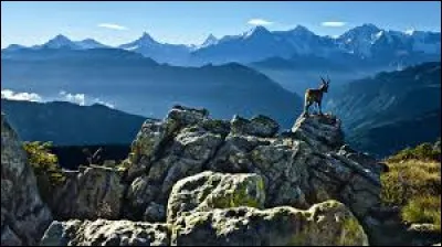 Quelle est la religion la plus populaire en Suisse ?