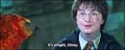 Qui a ouvert la chambre des secrets ?