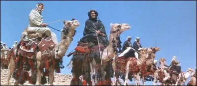 Le 6 juillet 1917, qui assiste les rebelles arabes opposés à l'Empire ottoman et permet la prise du port jordanien d'Aqaba ?