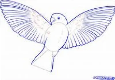 Que signifie l'expression "Battre de l'aile" ?