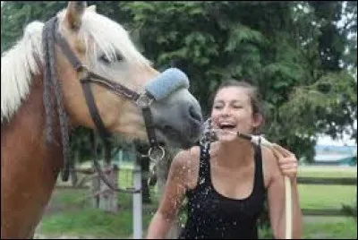 Quel cheval aime Sonia ?