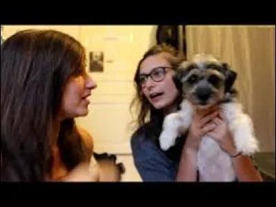 Quelle vidéo n'est pas en rapport avec des chevaux ?