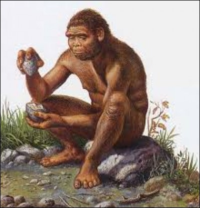 Sur quel continent l'Homo erectus n'a-t-il pas vécu ?