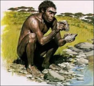 Combien l'Homo erectus mesurait-il environ ?