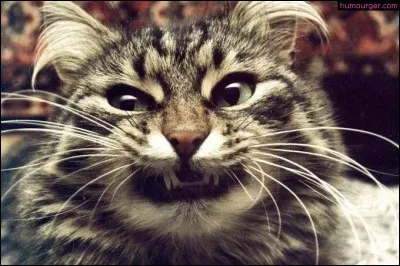 Ce n'est pas une agression si vous mordez quelqu'un. Par contre, c'en est une si vous...