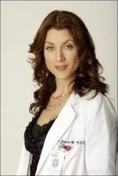 Qui est Addison Montgomery ?