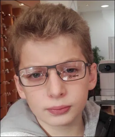 Quel est l'ingrédient principal d'un bavarois ?