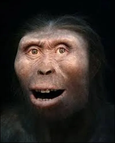 Quels êtres vivants apparurent il y a 5 millions d'années ?