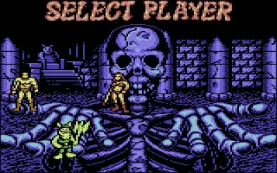 Ce « beat 'em up » se déroule dans un monde médiéval-fantastique. Choisissez entre un nain, un barbare et une amazone et pourfendez ensuite vos ennemis.