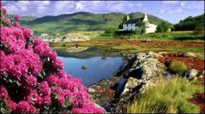 Quel est le nom officiel de l'Irlande en irlandais, d'après la constitution de 1937 ?