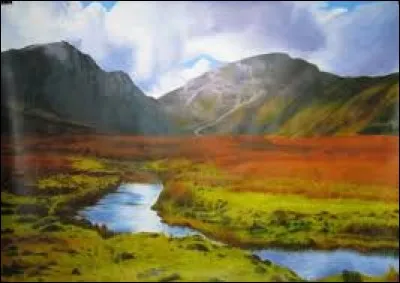 Au cours du XIXe siècle, vers quel continent les Irlandais migrent-ils ?