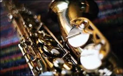 Comment cet instrument de musique est-il appelé ?