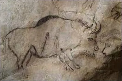 Peut-on réellement visiter la grotte de Niaux ?
