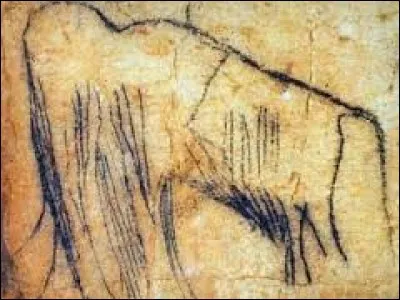 Combien de motifs dénombre-t-on dans la grotte de Pech-Merle à Cabrerets ?