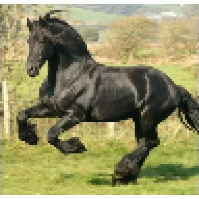 Quand on prend un cheval pour l'amener au pr&eacute;, on doit se positionner :